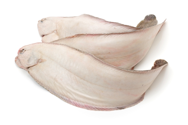filet_sole.jpg