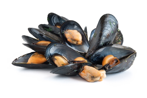 moules.jpg
