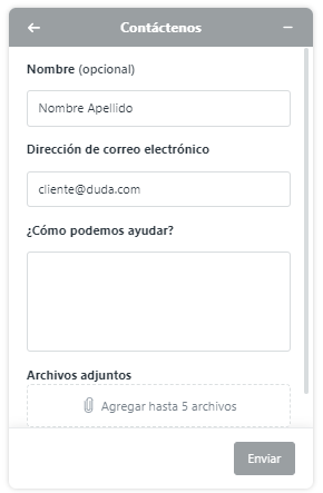 ayuda4.PNG